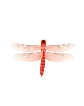 蜻蜓