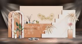 ins香槟色婚礼效果图