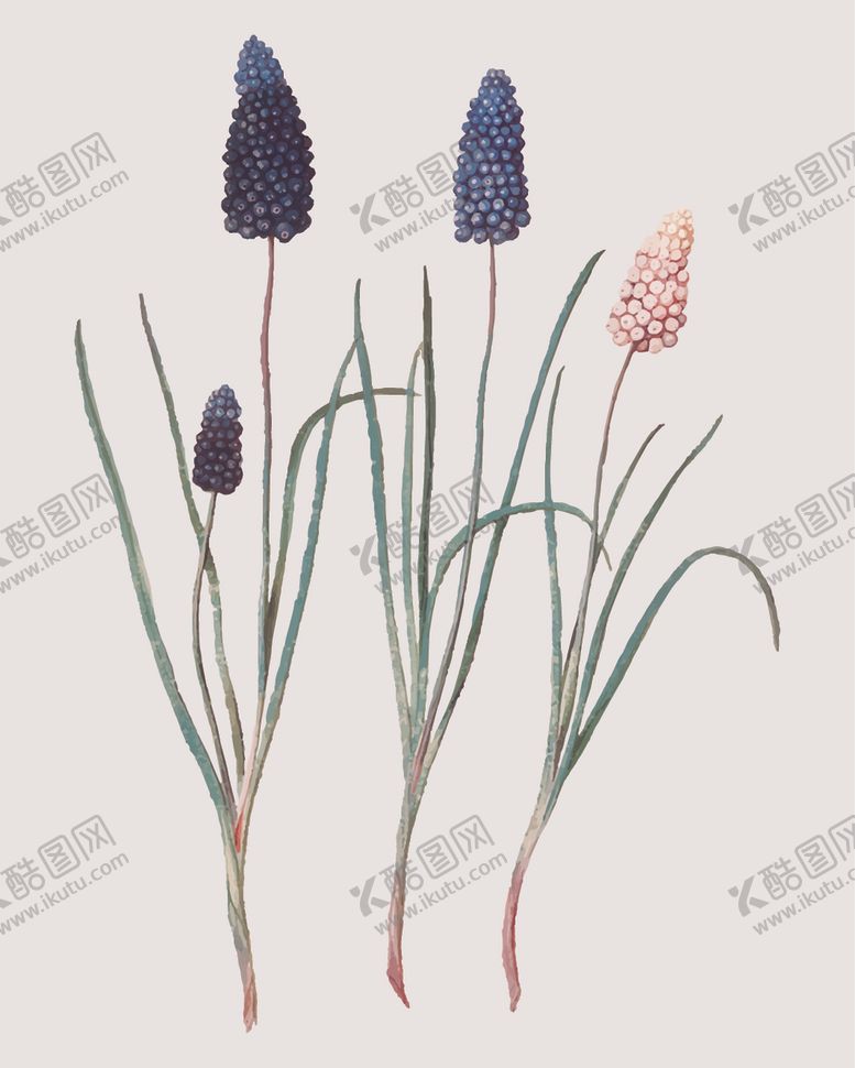 编号：34612807010300416564【酷图网】源文件下载-花纹