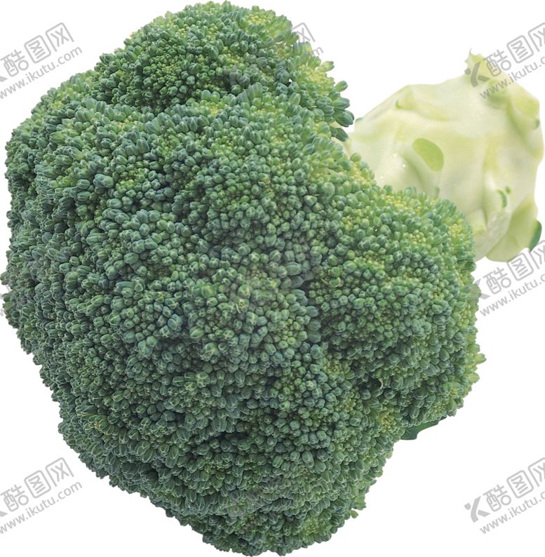 编号：16350406290135365285【酷图网】源文件下载-西兰花