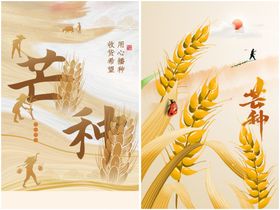 芒种海报