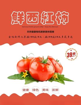 西红柿海报