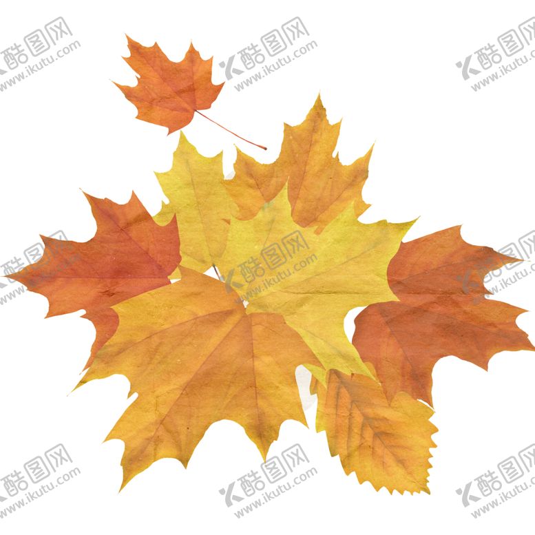 编号：51899710060100558064【酷图网】源文件下载-秋天素材