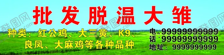 编号：47139906301338132599【酷图网】源文件下载-批发脱温大雏