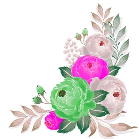鲜花素材