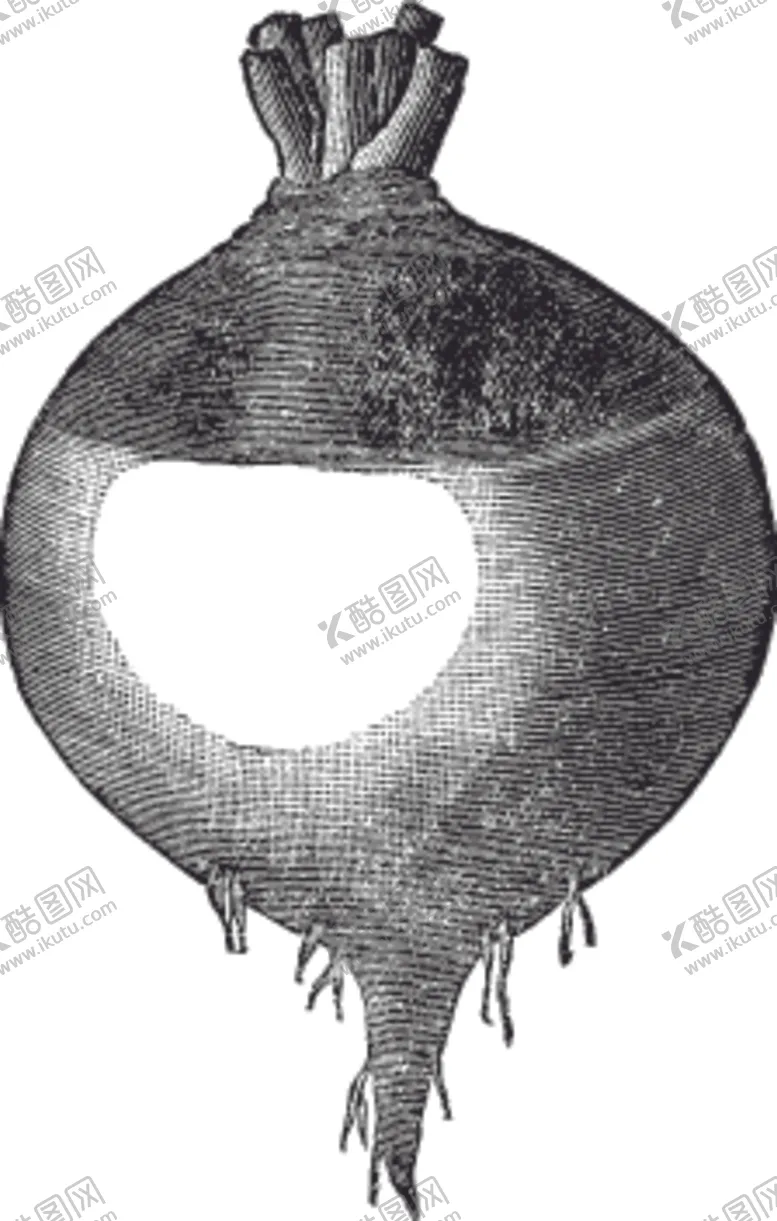 编号：19608709240032462032【酷图网】源文件下载-素描手绘蔬菜