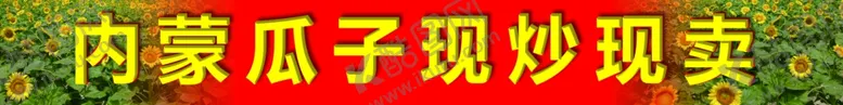 编号：19501904070748465973【酷图网】源文件下载-瓜子招牌