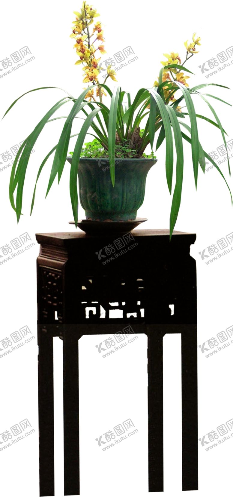 编号：80181310020447196928【酷图网】源文件下载-盆景