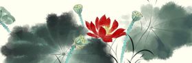 莲花荷花鱼装饰画