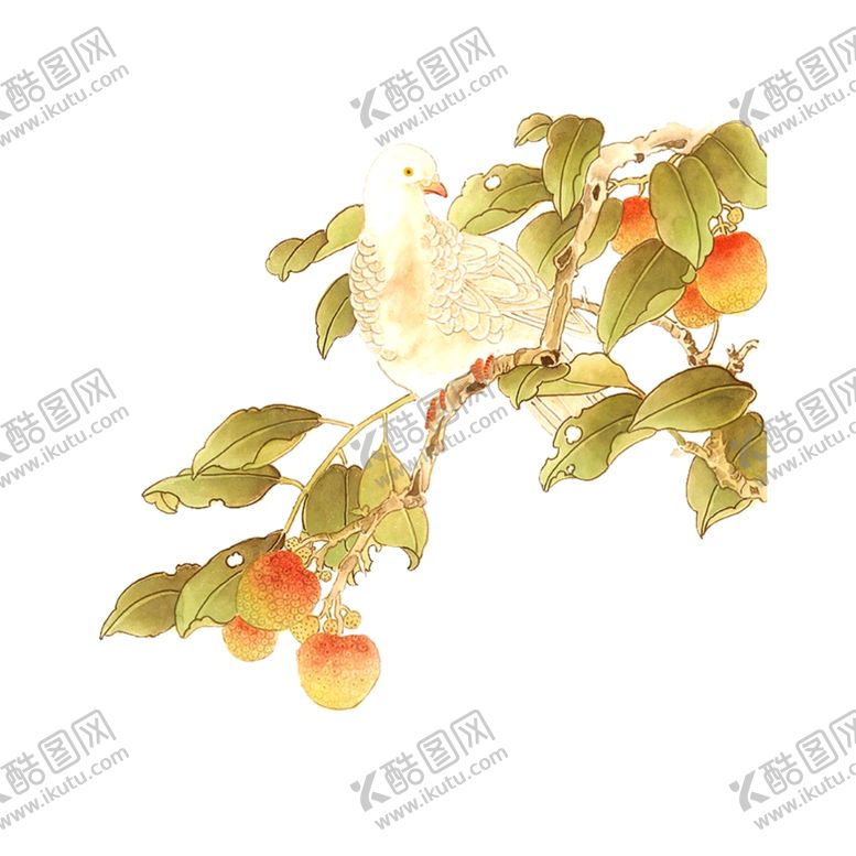 编号：29715509191039444136【酷图网】源文件下载-鸽子