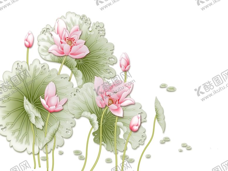 编号：35076809212021271845【酷图网】源文件下载-荷花