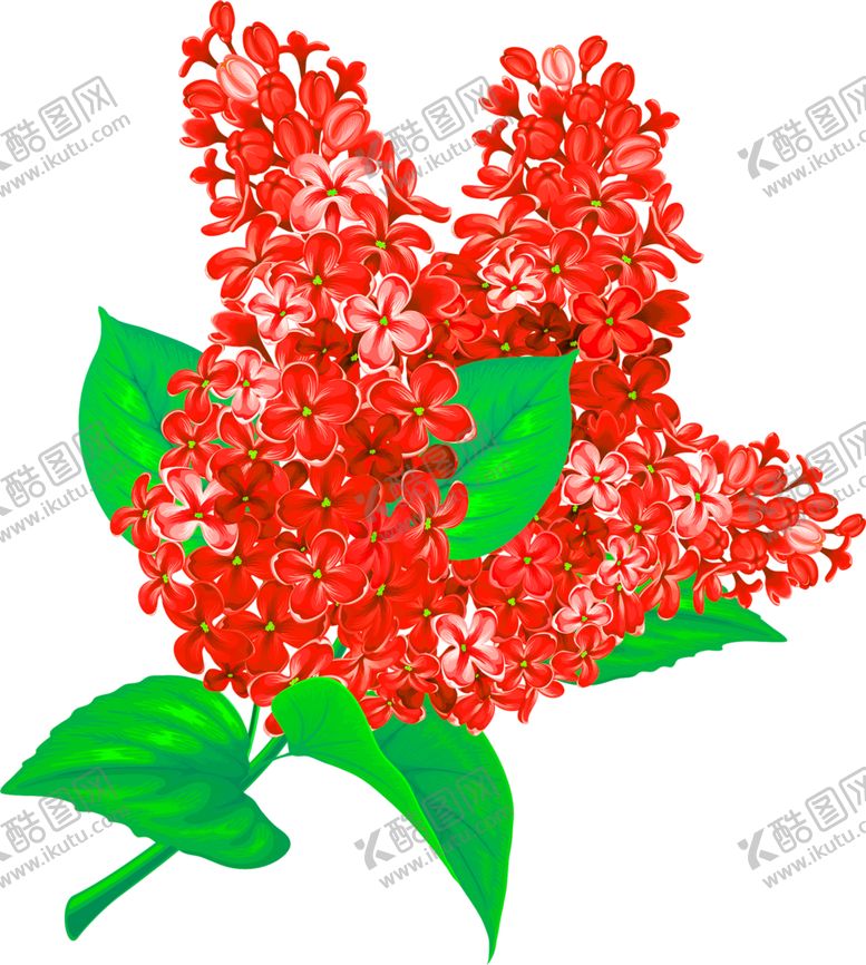 编号：20271406260754329600【酷图网】源文件下载-花素材