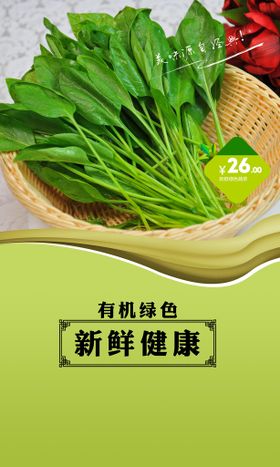 绿色新鲜蔬菜海报