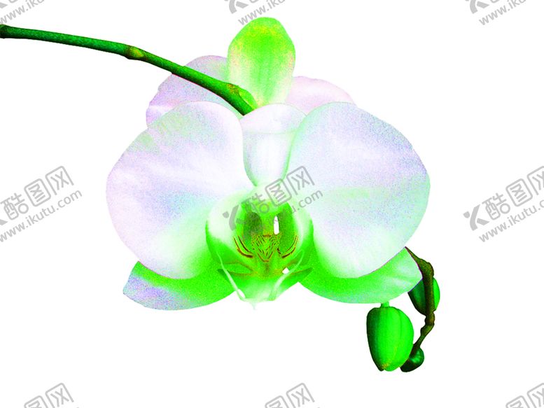 编号：38077609250518113470【酷图网】源文件下载-浪漫素材