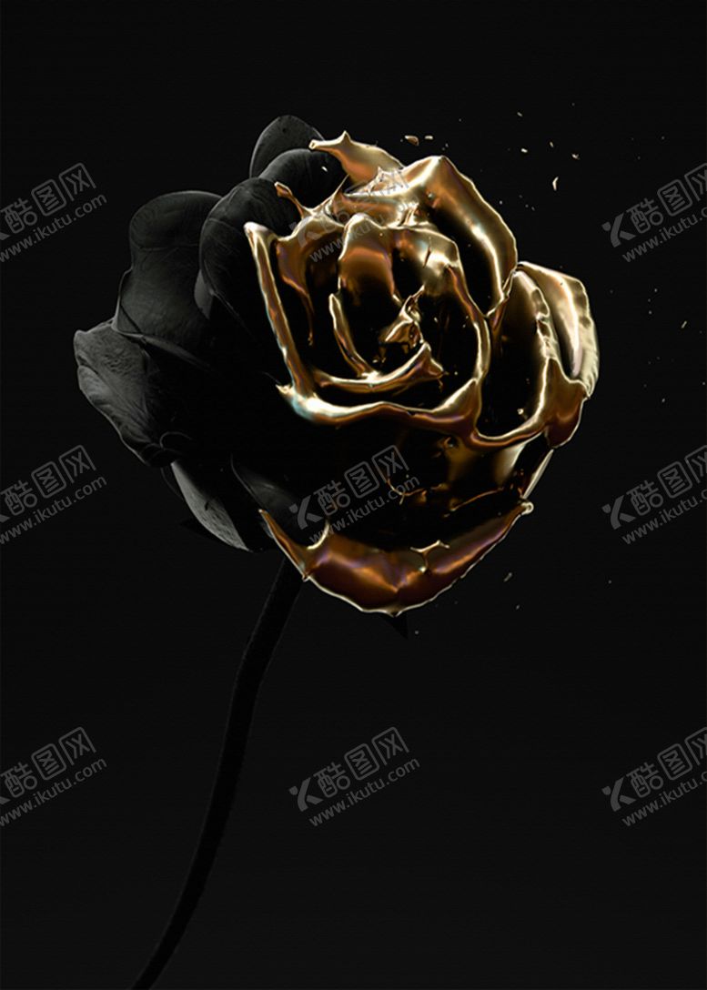 编号：63971907071524418999【酷图网】源文件下载-金色浮雕花单幅装饰画