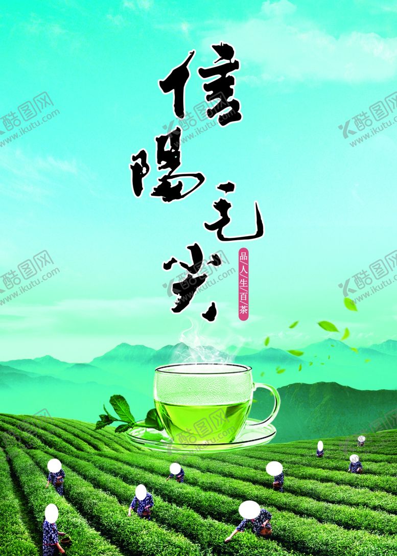 编号：45612907091135103752【酷图网】源文件下载-信阳毛尖