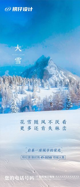 地产大雪海报