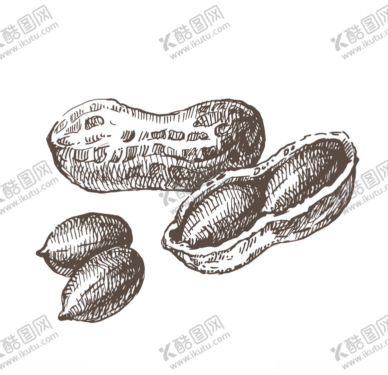 编号：53663007140026327578【酷图网】源文件下载-蔬菜