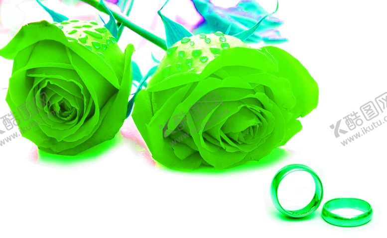 编号：66605510282320473815【酷图网】源文件下载-花素材