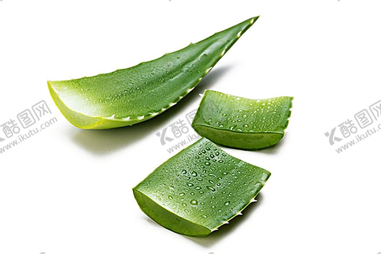 编号：61824710201058145579【酷图网】源文件下载-绿色植物