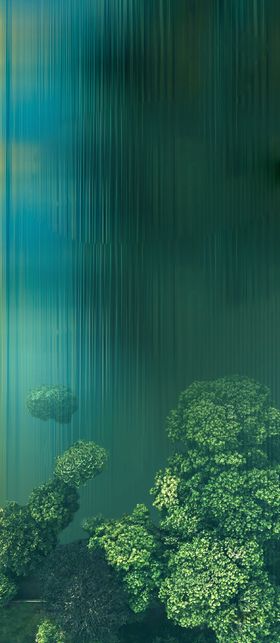 生态背景