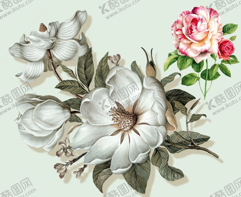 编号：52606110300052491131【酷图网】源文件下载-花朵