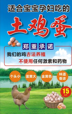 天然土鸡蛋海报