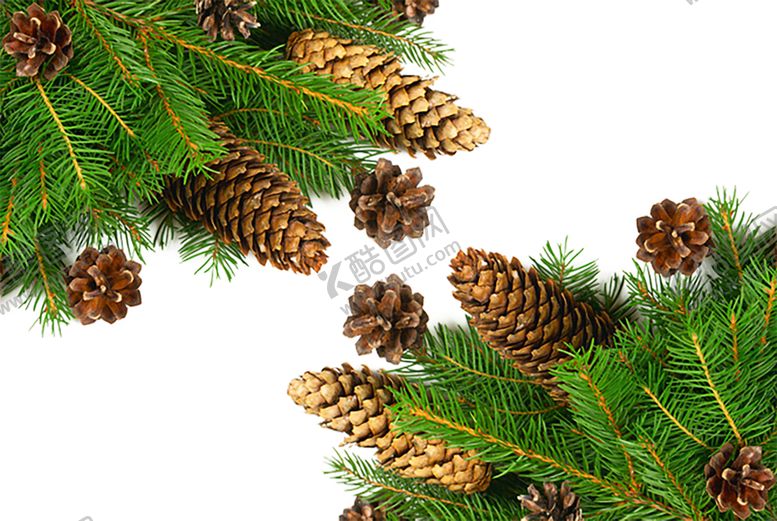 编号：82575909150519337161【酷图网】源文件下载-绿色背景