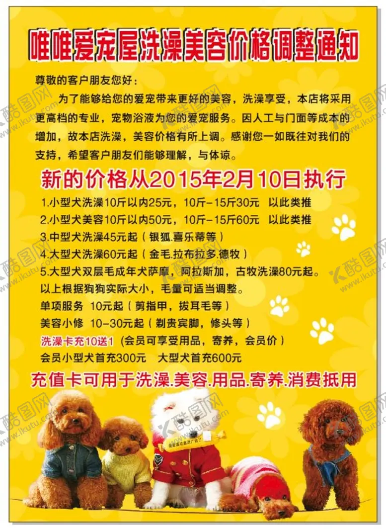 编号：62471401251051461250【酷图网】源文件下载-宠物 海报