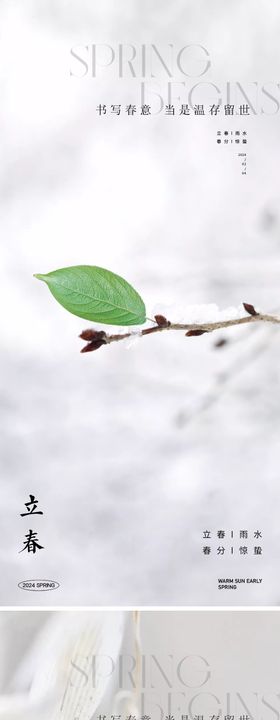 立春节气系列海报