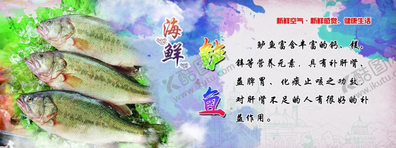 编号：33884710261552241794【酷图网】源文件下载-海鲜宣传鲈鱼