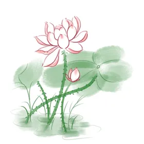 手绘荷花夏季背景素材湖水清爽一夏