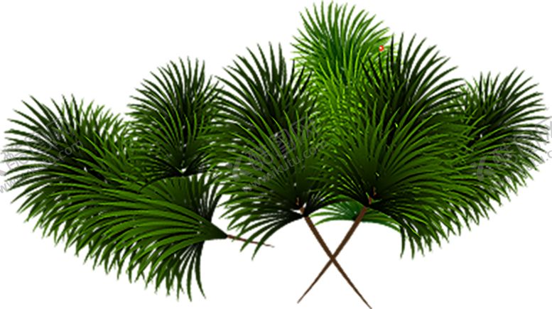 编号：34811709230032409562【酷图网】源文件下载-绿色装饰