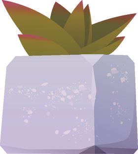 盆景盆栽