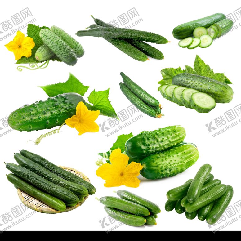 编号：77737609211852407328【酷图网】源文件下载-黄瓜