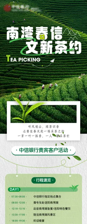 信阳南湾采茶活动