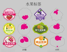 多彩水果标签设计示例