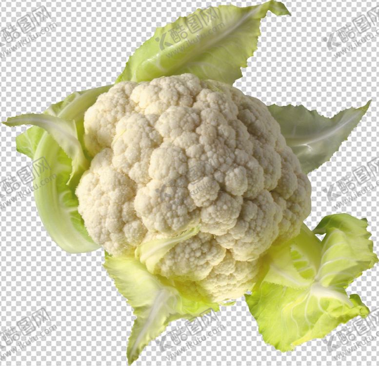 编号：73111909250701365926【酷图网】源文件下载-花菜