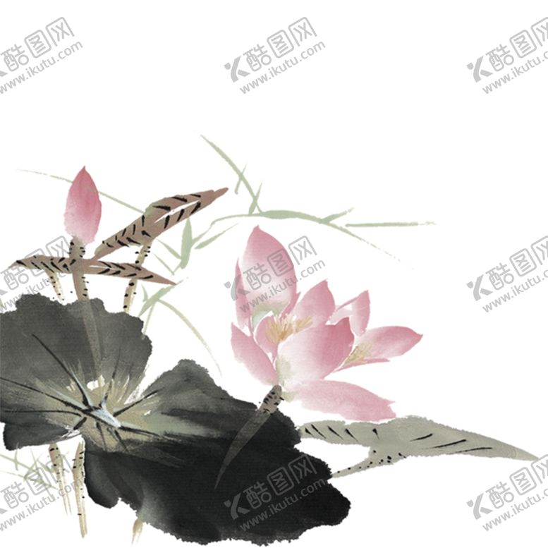 编号：30877612071647502815【酷图网】源文件下载-荷花素材