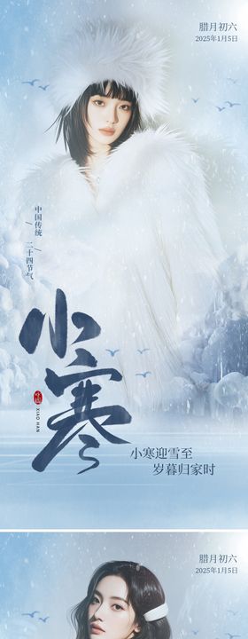 小寒大寒简约海报