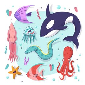 海洋生物 