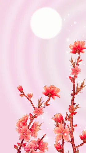 手绘桃花插画海报图片朵赏樱粉色展板