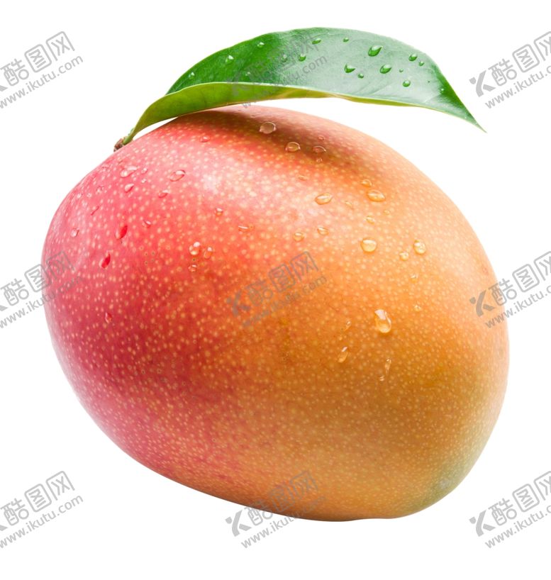 编号：84603110260848393245【酷图网】源文件下载-芒果