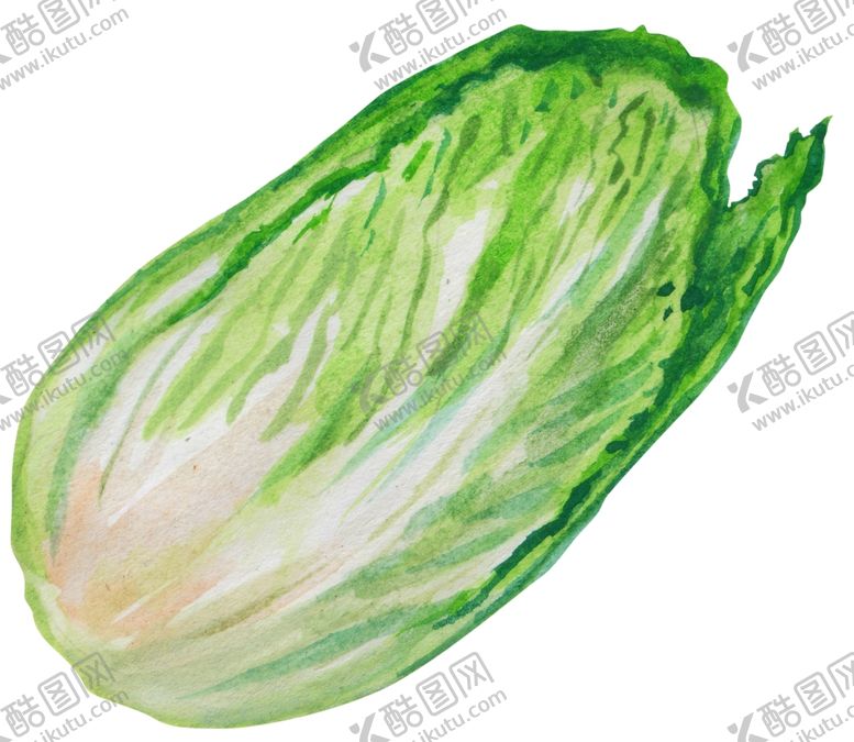 编号：39067210171122086196【酷图网】源文件下载-大白菜