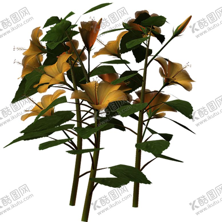 编号：70428010121327072290【酷图网】源文件下载-绿色装饰