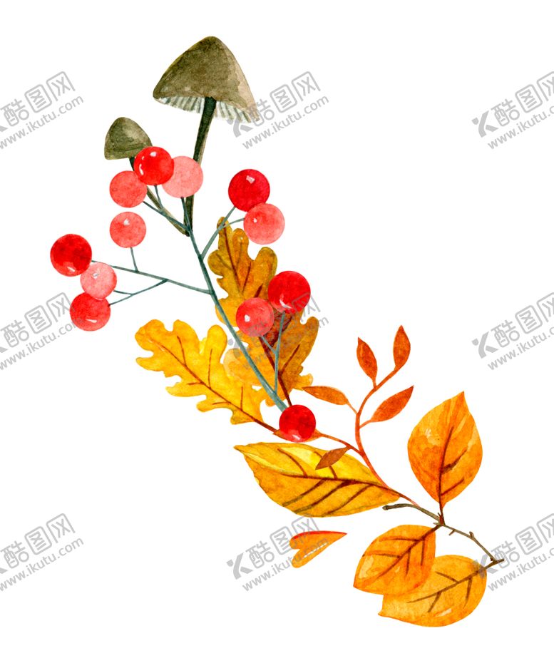 编号：30614305120818382825【酷图网】源文件下载-森系清新植物