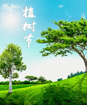 阳光