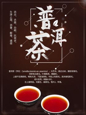 普洱茶