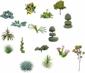 免抠图 非矢量图 PNG 植物