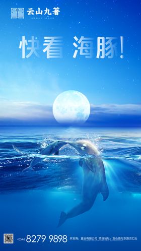 海豚